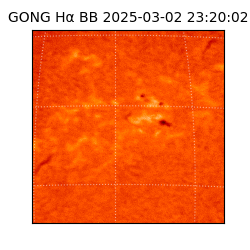 gong - 2025-03-02T23:20:02