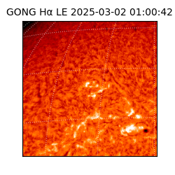 gong - 2025-03-02T01:00:42