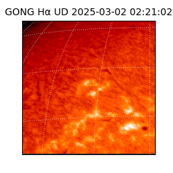 gong - 2025-03-02T02:21:02