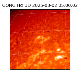 gong - 2025-03-02T05:00:02