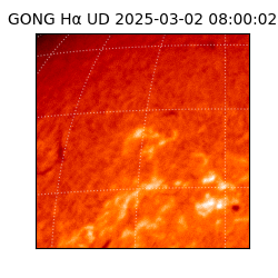 gong - 2025-03-02T08:00:02