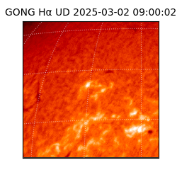 gong - 2025-03-02T09:00:02