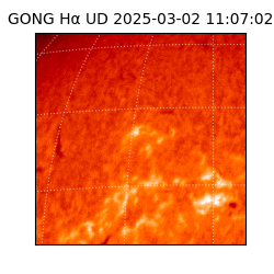 gong - 2025-03-02T11:07:02