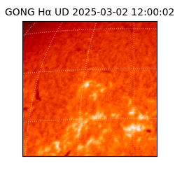 gong - 2025-03-02T12:00:02