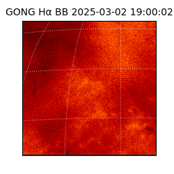 gong - 2025-03-02T19:00:02