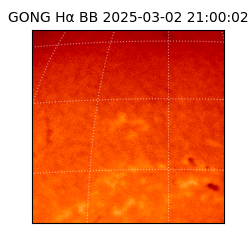 gong - 2025-03-02T21:00:02