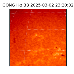 gong - 2025-03-02T23:20:02