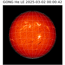 gong - 2025-03-02T00:00:42