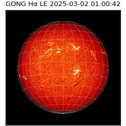 gong - 2025-03-02T01:00:42