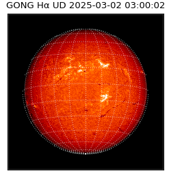 gong - 2025-03-02T03:00:02