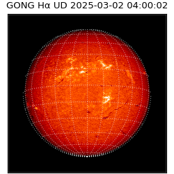 gong - 2025-03-02T04:00:02