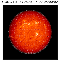 gong - 2025-03-02T05:00:02