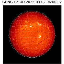 gong - 2025-03-02T06:00:02