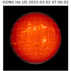 gong - 2025-03-02T07:00:02