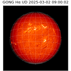gong - 2025-03-02T09:00:02