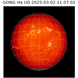 gong - 2025-03-02T11:07:02
