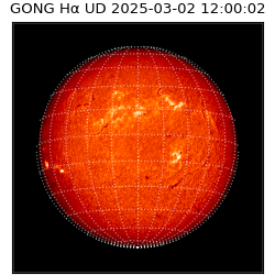 gong - 2025-03-02T12:00:02