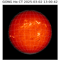 gong - 2025-03-02T13:00:42