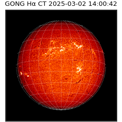 gong - 2025-03-02T14:00:42
