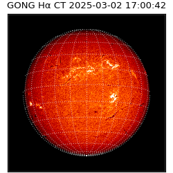 gong - 2025-03-02T17:00:42
