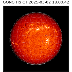 gong - 2025-03-02T18:00:42