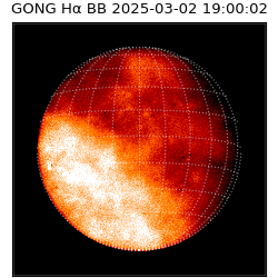 gong - 2025-03-02T19:00:02