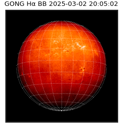 gong - 2025-03-02T20:05:02