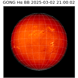 gong - 2025-03-02T21:00:02