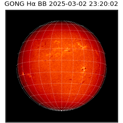 gong - 2025-03-02T23:20:02