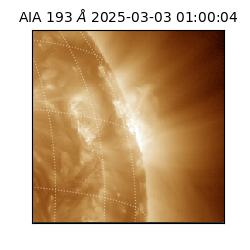 saia - 2025-03-03T01:00:04.843000