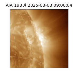 saia - 2025-03-03T09:00:04.844000