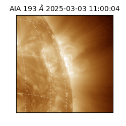 saia - 2025-03-03T11:00:04.843000