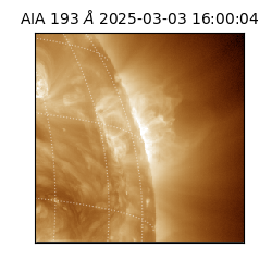 saia - 2025-03-03T16:00:04.846000