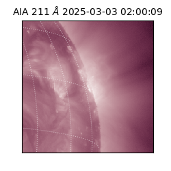 saia - 2025-03-03T02:00:09.626000
