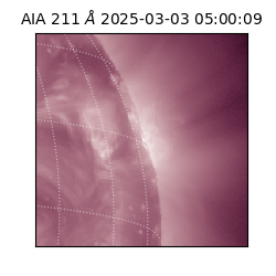 saia - 2025-03-03T05:00:09.632000