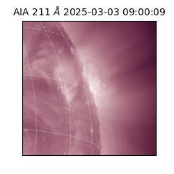saia - 2025-03-03T09:00:09.632000
