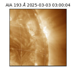 saia - 2025-03-03T03:00:04.843000