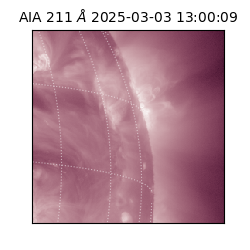 saia - 2025-03-03T13:00:09.630000