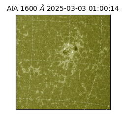 saia - 2025-03-03T01:00:14.125000