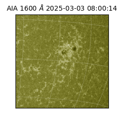 saia - 2025-03-03T08:00:14.126000