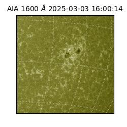 saia - 2025-03-03T16:00:14.125000