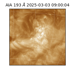 saia - 2025-03-03T09:00:04.844000