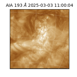 saia - 2025-03-03T11:00:04.843000