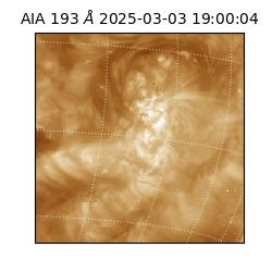 saia - 2025-03-03T19:00:04.846000