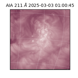 saia - 2025-03-03T01:00:45.632000