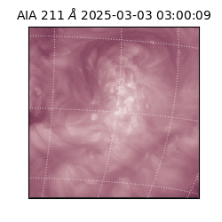 saia - 2025-03-03T03:00:09.630000