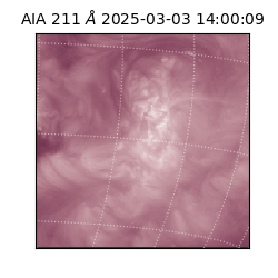 saia - 2025-03-03T14:00:09.626000