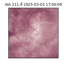 saia - 2025-03-03T17:00:09.632000