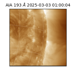 saia - 2025-03-03T01:00:04.843000