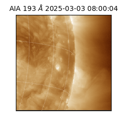 saia - 2025-03-03T08:00:04.843000